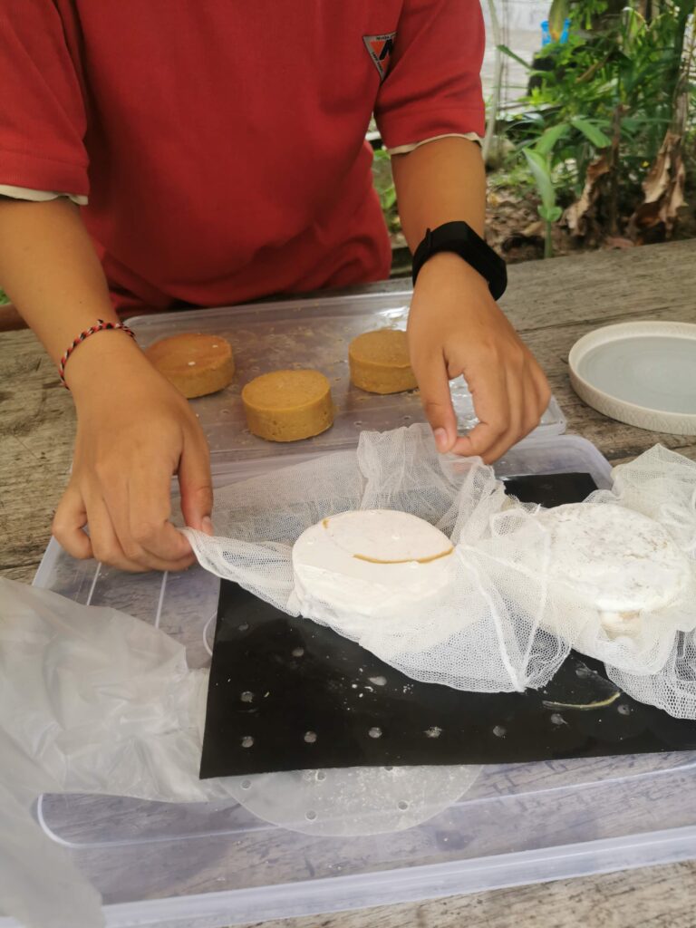 VeganCheeseProcess